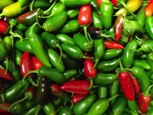 the Ledson's Family CSA Farm Peppers