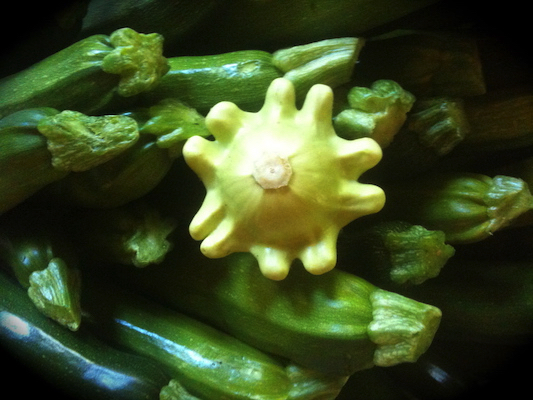 the Ledson's Family CSA Farm Squash