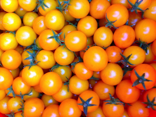 the Ledson's Family CSA Farm Cherry Tomatoes